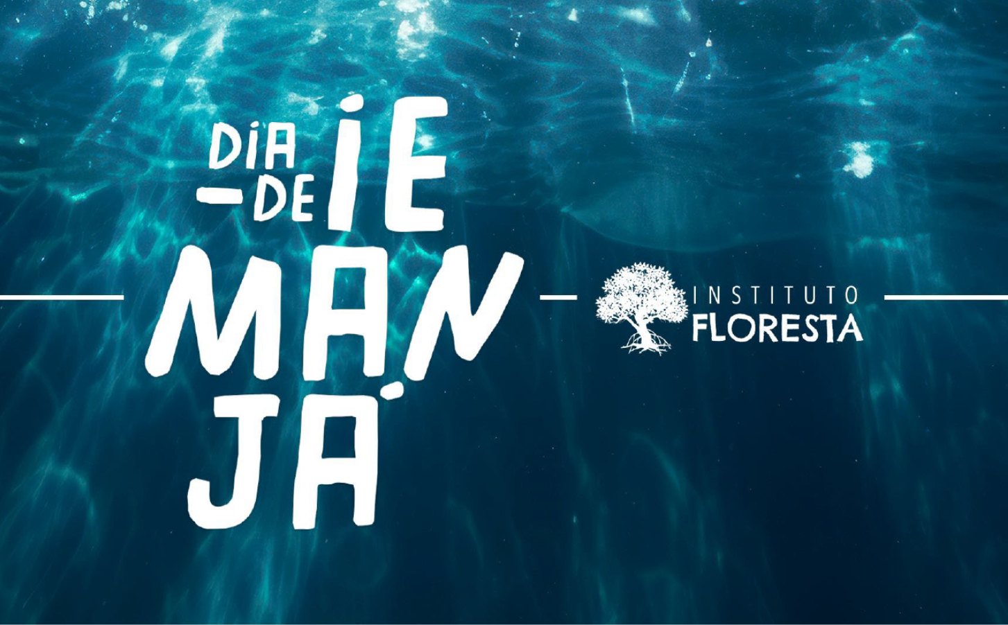 Identidade visual do Dia de Iemanjá e Instituto Floresta